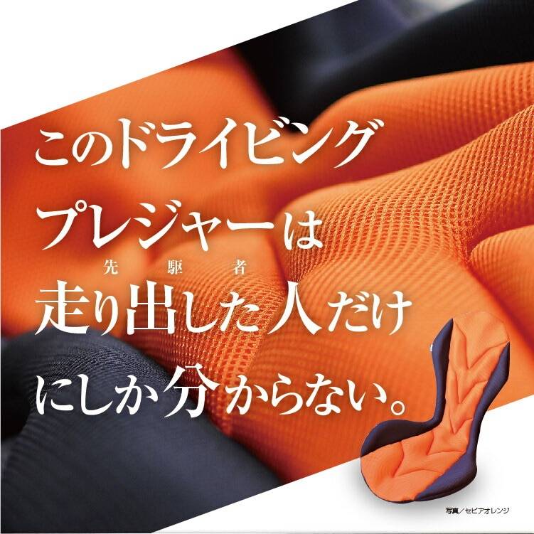 リバースポルト レビュー